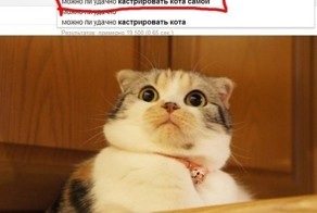 Юмор прикол