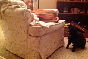 Юмор прикол