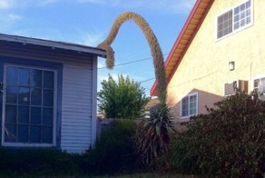 Прикольные фото и картинки от zubrilov за 01.02.2013 №144603