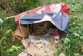 Спасение пса от неминуемой гибели