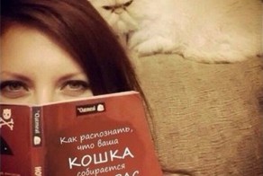 30 знаков, что ваш кот, возможно, планирует ваше убийство