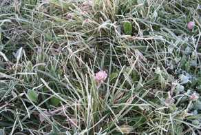 Земля под нашими ногами