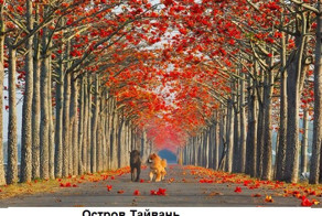 Улочки мира, которые весной становятся еще прекраснее