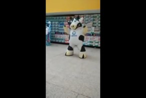 Корова-танцор зажигает под Майкла Джексона