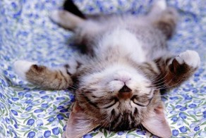 6 простых вещей, которые следует делать каждое утро