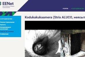 Неясыть села в гнездо