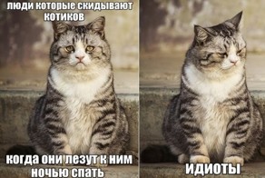 Котомем, кто таков
