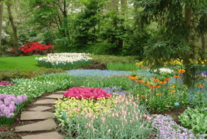 Весна! Парк Кюхенхофф (Нидерланды)