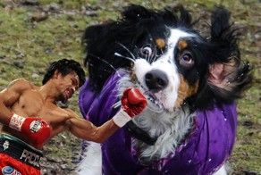 Смешные картинки