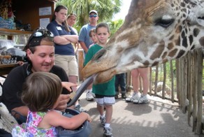 Красивые фото