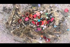 Цена развития человечества