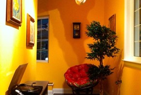 Бесплатно фото