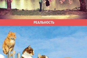 Весенние ожидания и реальность
