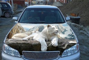 Красивая аэрография