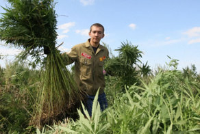 В ЛНР ликвидировали ферму Шмали