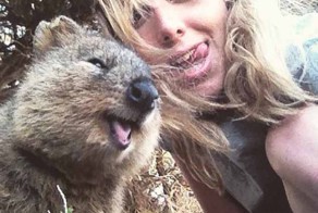 Селфи с Квокка