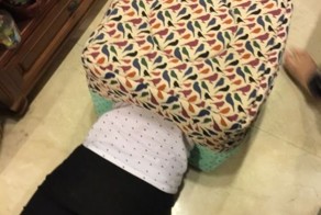 Спасение девушки, застрявшей в кошачьем домике 