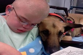 Спасенная собака помогает мальчику с синдромом Санфилиппо 