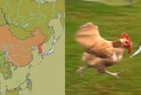 Юмор прикол