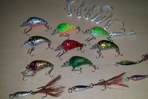 Актуальная тема поиск альтернатив дорогим рыболовным приманкам