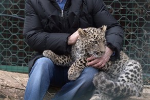 Все больше россиян хотят переизбрания Путина на четвертый срок!!!!!