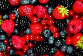9 самых полезных продуктов для всего организма