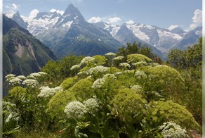 Пейзажи, природа