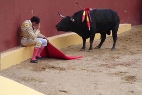 Хорошая история