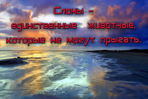 Самые бесполезные факты