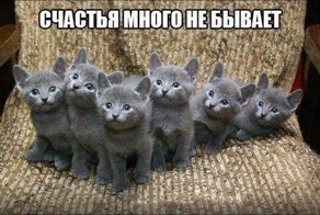 Пост картинок хорошего настроения!