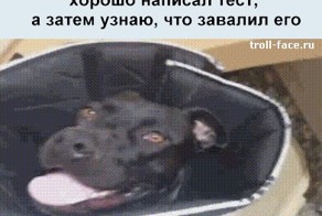 Мир смешных gif анимаций
