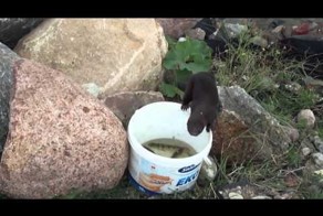 Мы рыбачим, а у нас воруют рыбу