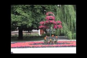 Городской сквер, парк