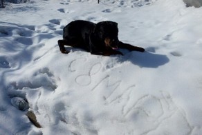 Мы старались;) С 8 марта!