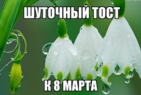 Мартовский тост-шутка