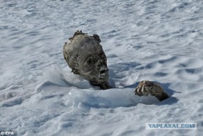 В Мексике нашли мумии пропавших в 1959 году альпинистов