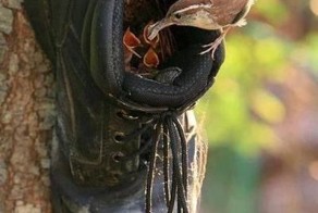 Зачетное фото