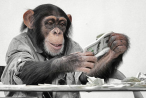 Индийская пара все имущество завещала обезьяне