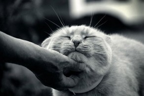 25 приятных вещей, которые любит делать каждый