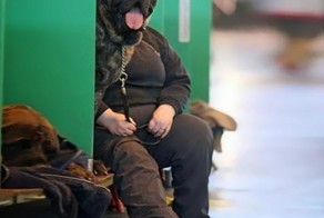 Фото "Показалось"