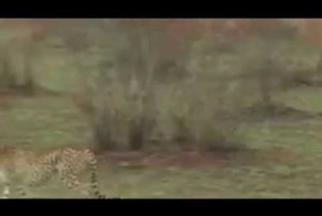 Просто невероятно