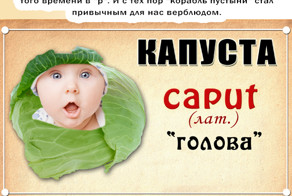 От верблюда до денег