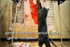 ТОП лучших котоматриц марта и не только...