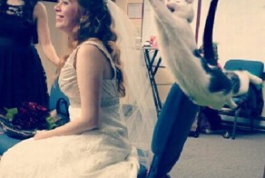 Фотоприкол дня