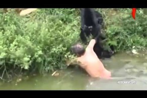 Прыгнул в гости к обезьянам!