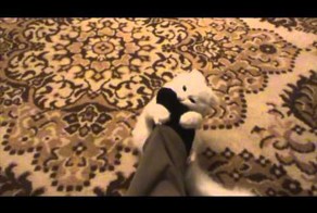 Агрессивный кот и немного странный хозяин. Часть 2