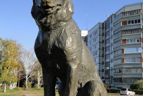 Русский Хатико с улицы Льва Яшина