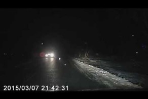 Кошку пожалел