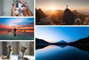 Лучшие фотографии недели
