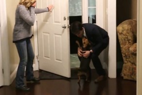 Собака реагирует на возвращение хозяина 